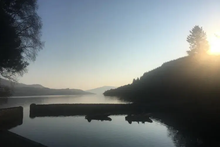 EASTBIO firbush 1