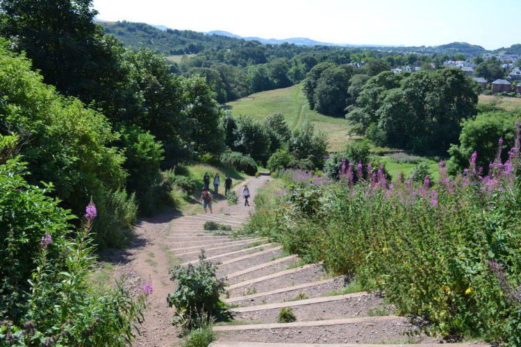 Welburn hike 4