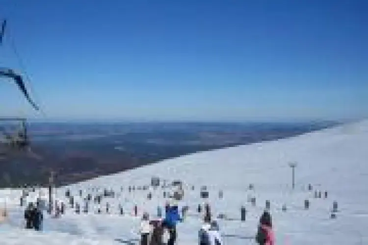 Marston Aviemore small 4