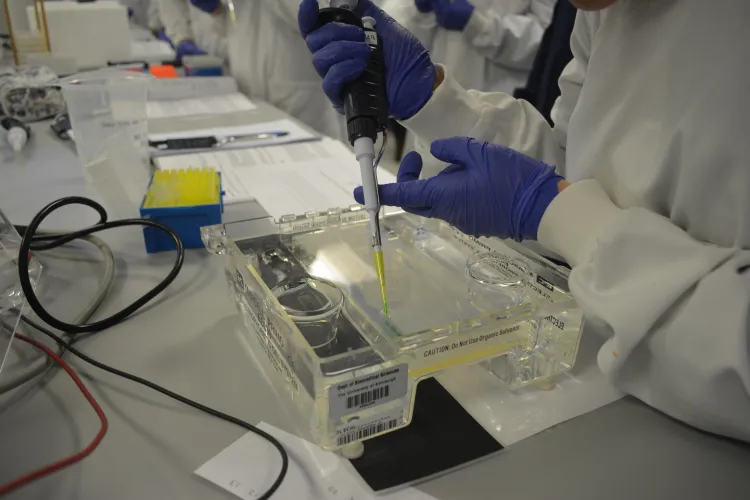 Student loading a gel