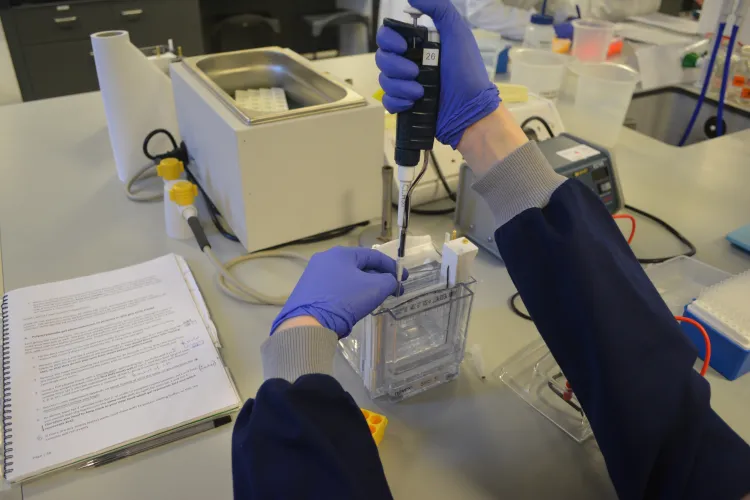 Demonstrator in a practical