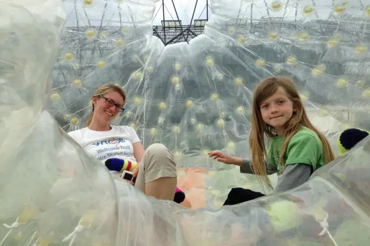 Cook lab zorbing 2