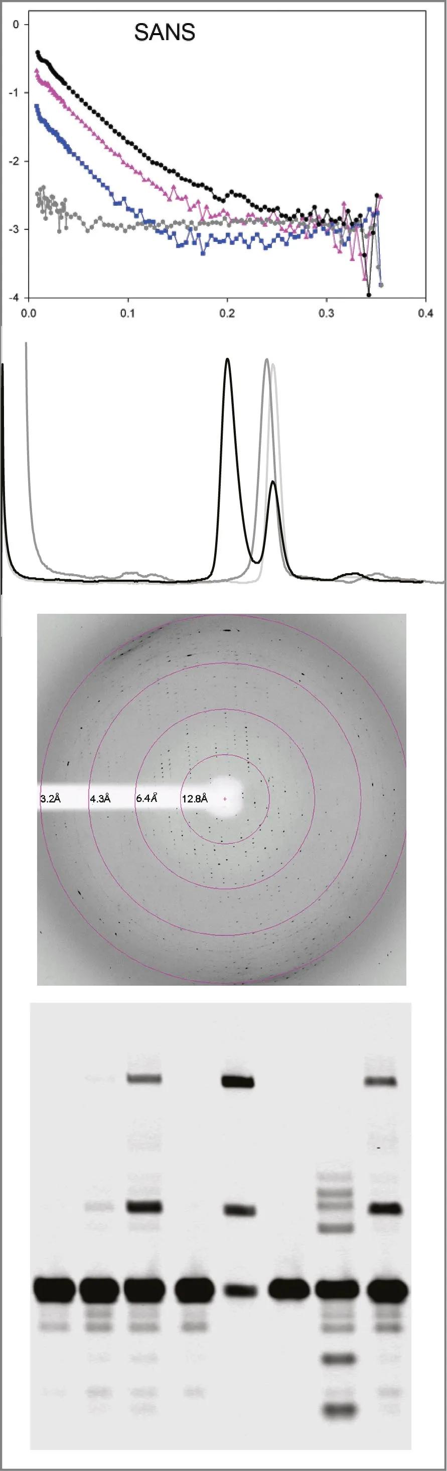 Diagrams from Dr Richardson's publications - see caption for details.