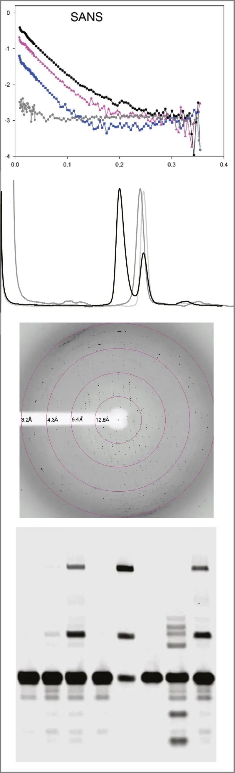 Diagrams from Dr Richardson's publications - see caption for details.