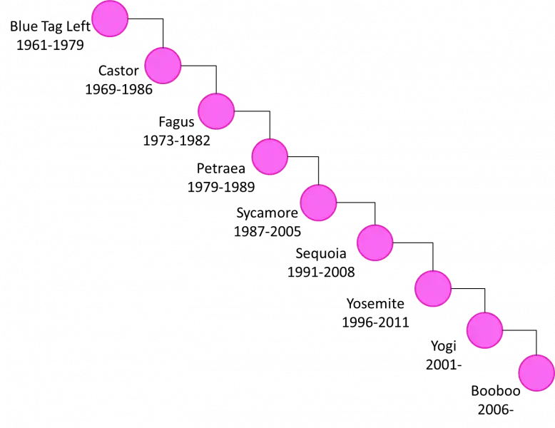 Diagram of the matriline of Booboo. Connected nodes represent each mother: Blue Tag Left (1961-1979), Castor (1969-1986), Fagus (1973-1982), Petraea (1979-1989), Sycamore (1987-2005), Sequoia (1991-2008), Yosemite (1996-2011), Yogi (2001-), Booboo (2006-).