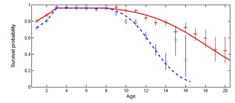 Figure of survival probability versus age for Rum red deer. Trend described in previous paragraph.