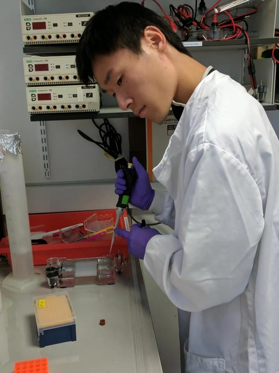 Franklin Lo working in the lab.