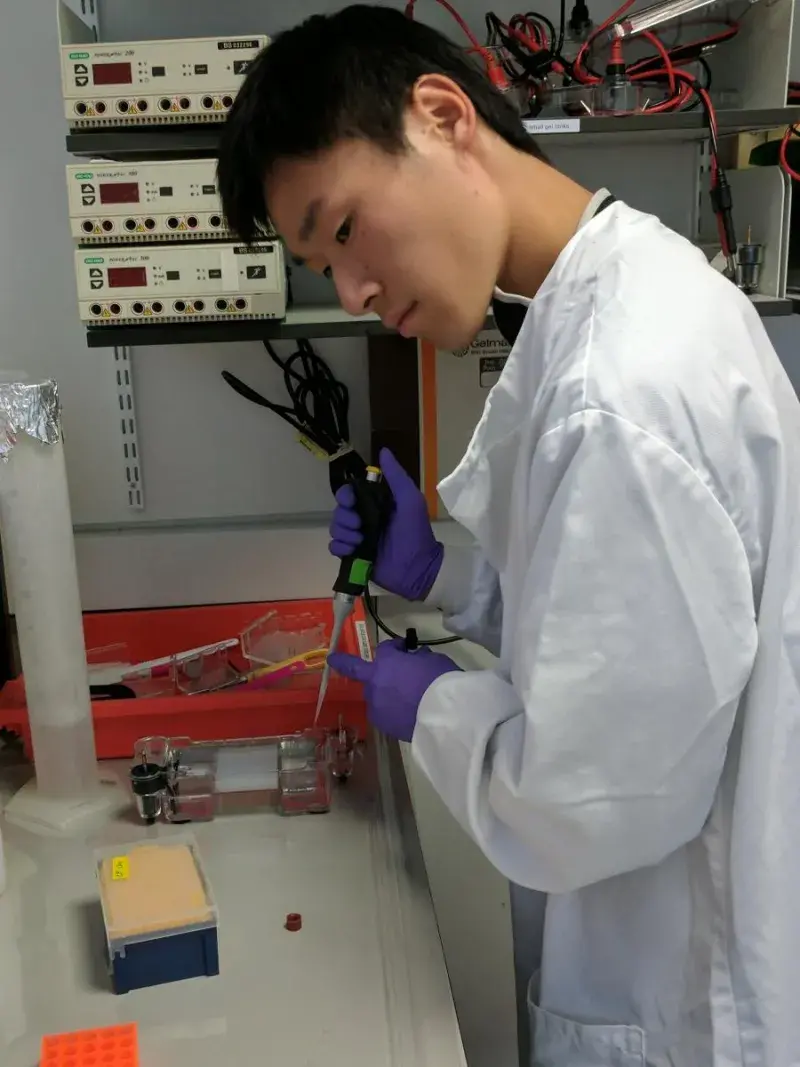 Franklin Lo working in the lab.