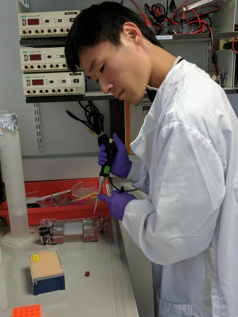 Franklin Lo working in the lab.