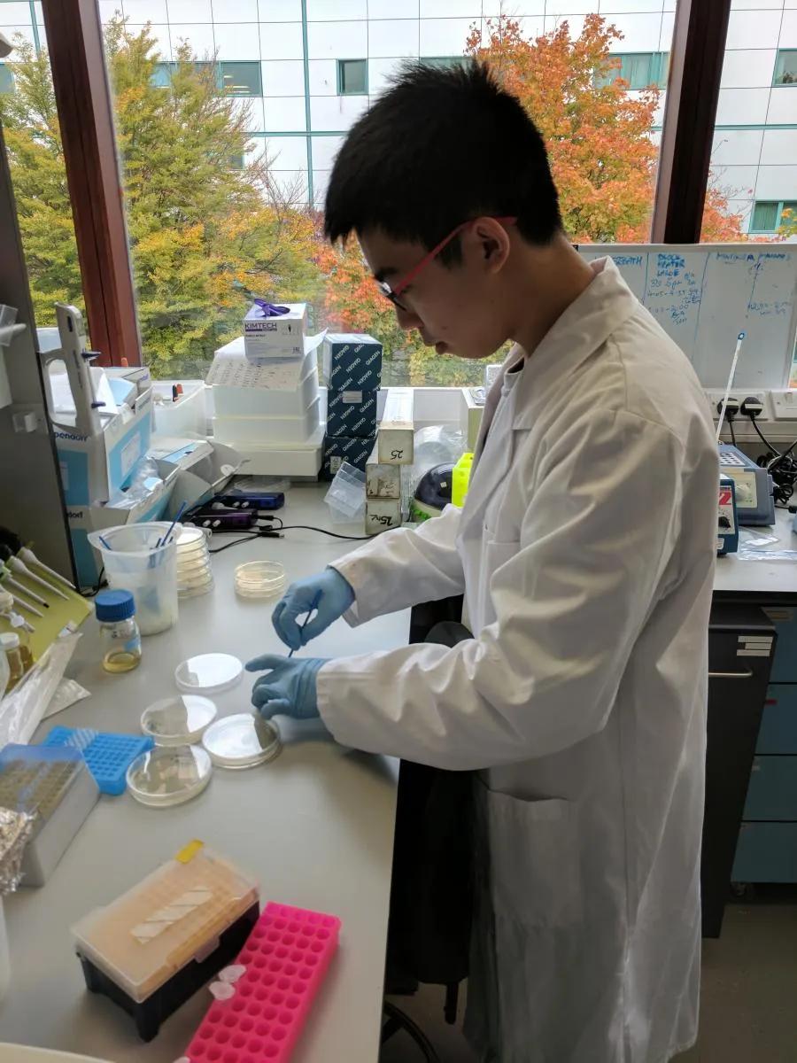 Teri Cheng working in the lab.