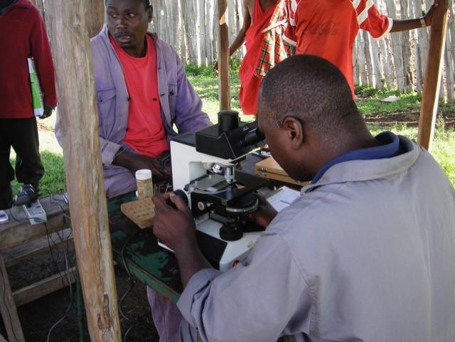 Man looking through a microscope under a gazebo.