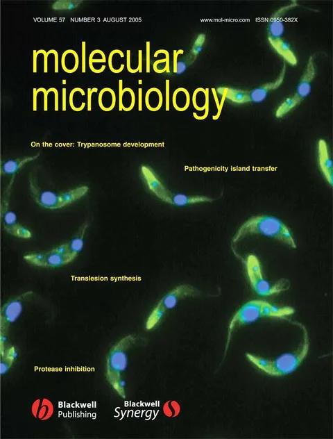 August 2005 cover of Molecular Microbiology showing trypanosome development.