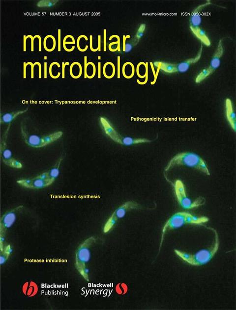 August 2005 cover of Molecular Microbiology showing trypanosome development.