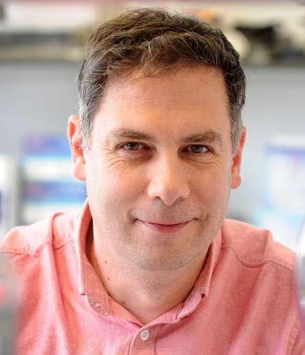 Headshot of Andrew Free.