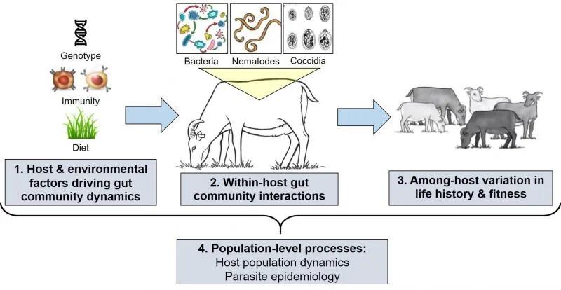 Diagram showing the four aims of this project, given in the list below.