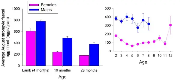 A bar chart and a line graph depicting the average August strongly faecal egg count versus age. Trend in the paragraph above.
