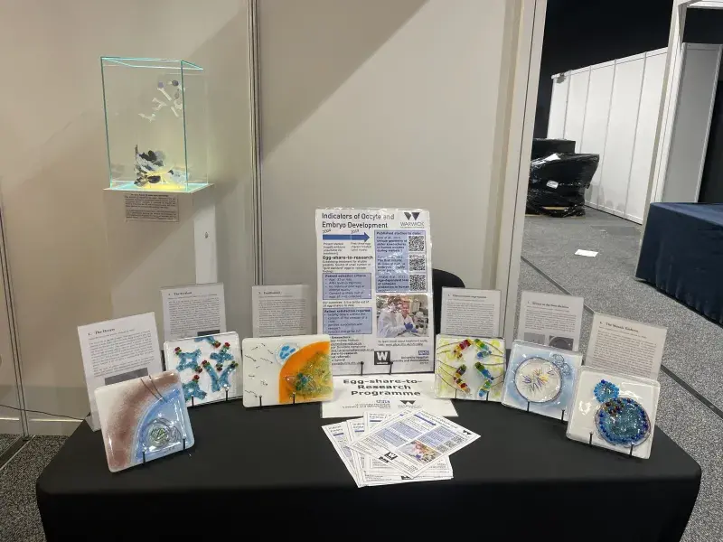 Exhibition stand with some of the tile artworks and posters showing the conducted research. The main poster is from Warwick and is titled "Indicators of oocyte and embryo development" and links to three published studies to date: Patel et al 2015, Currie et al 2022 and Mihalas et al 2023. 