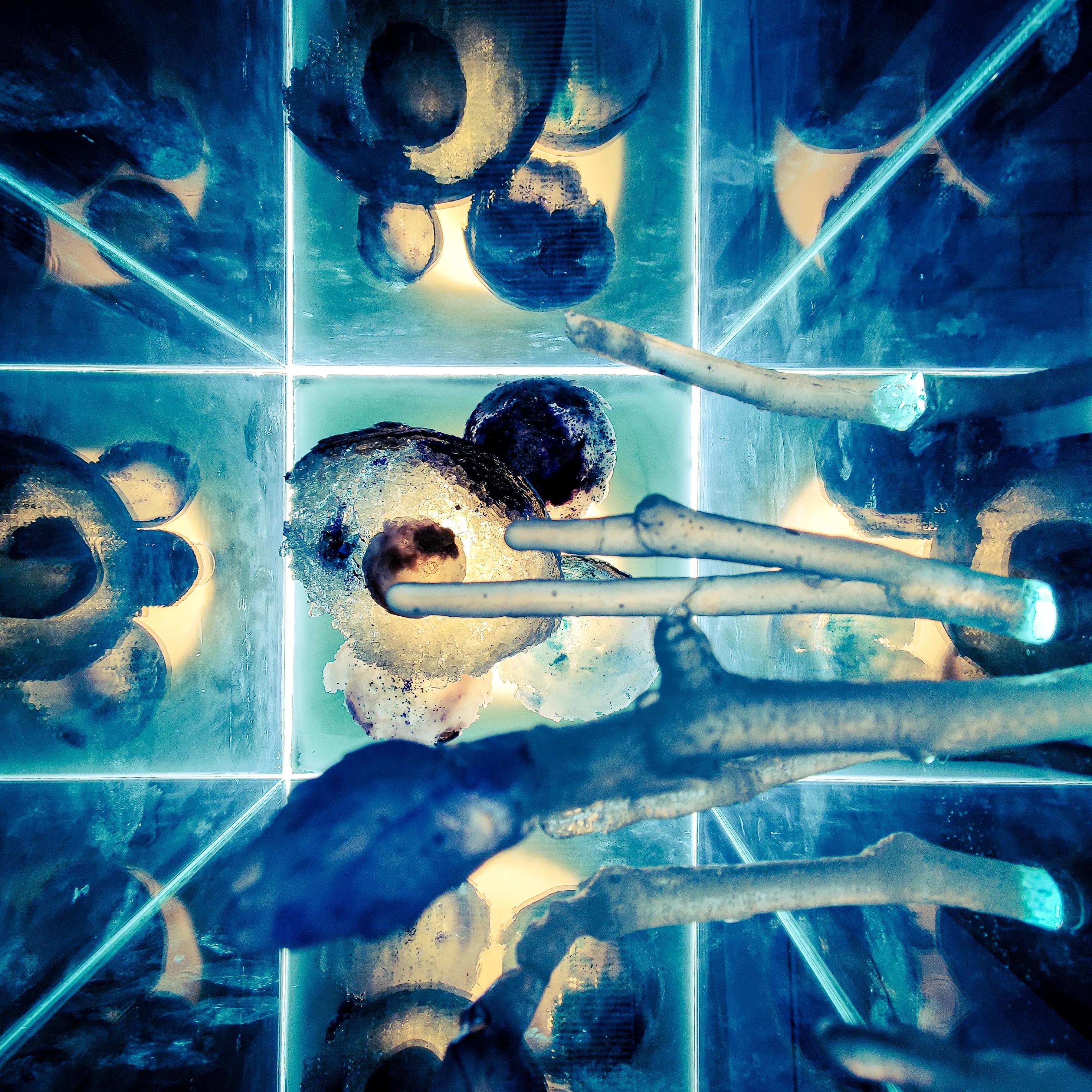 Artistic look of the sculpture top-down.