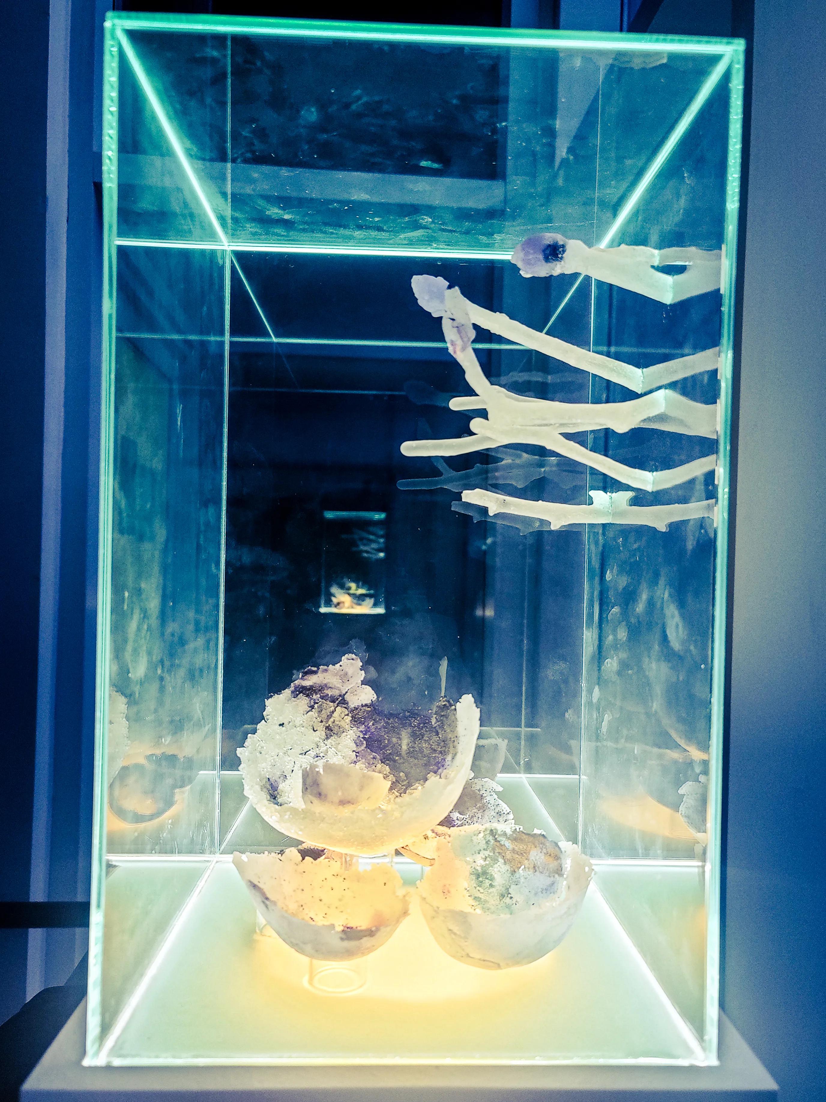 Full sculpture view. A glass box containing crystal-like broken glass spheres in the centre. Glass strands with some of them having spheres on their ends grow from one of the walls of the container, depicting oviducts and ovaries.