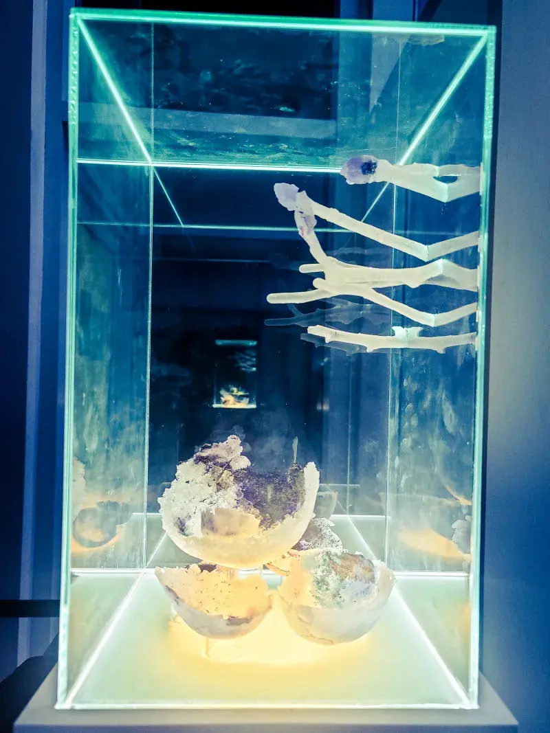 Full sculpture view. A glass box containing crystal-like broken glass spheres in the centre. Glass strands with some of them having spheres on their ends grow from one of the walls of the container, depicting oviducts and ovaries.