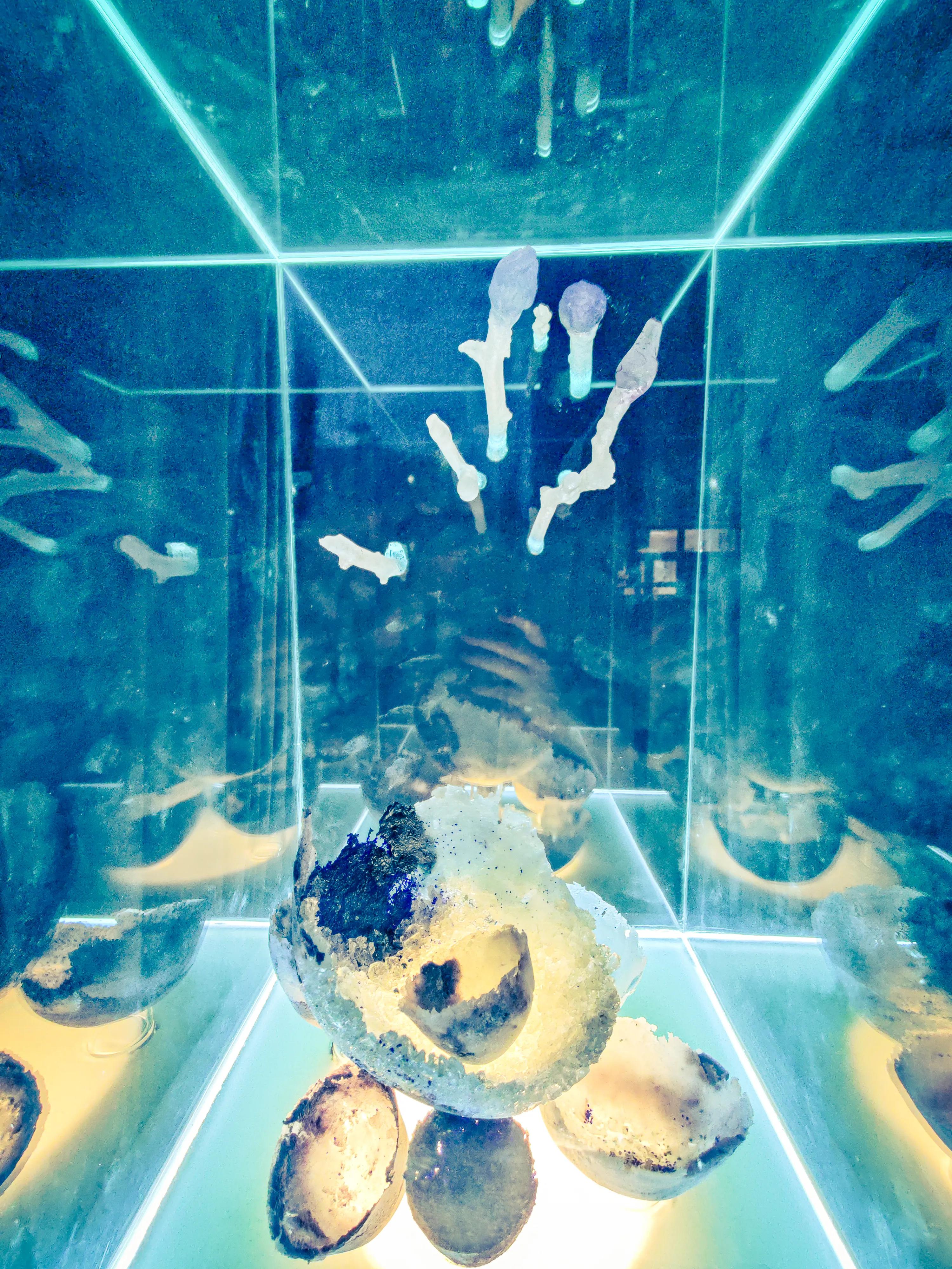 Full sculpture view.