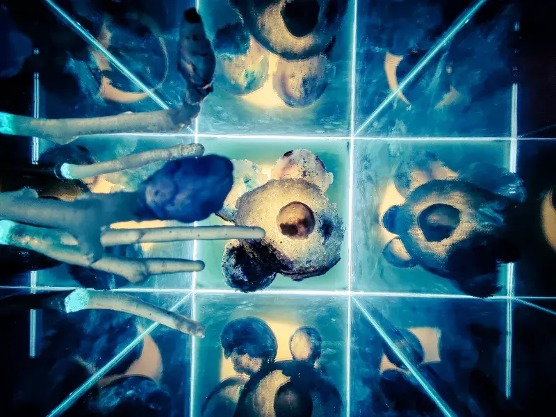 Top-down look of the sculpture.