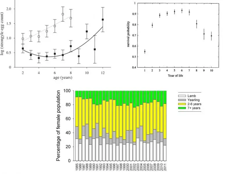 Three graphs - see caption for detail and the paragraph above for trends.