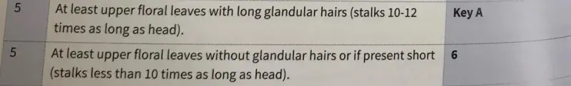 Euphrasia handbook key, couplet 5 helps to decide whether the plant has long glandular hairs or not.