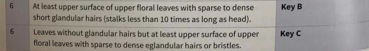 Euphrasia handbook couplet 6 helps make a decision based on hairs