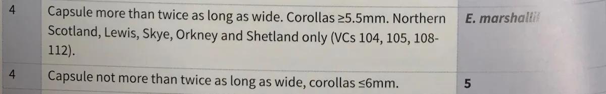 Euphrasia handbook, key c couplet 4 describes non-vegetative characteristics, more details in text.