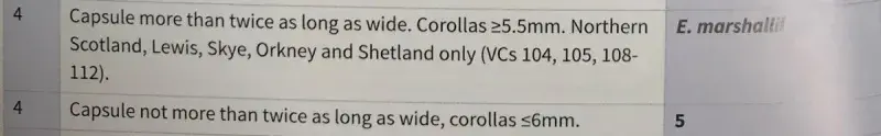 Euphrasia handbook, key c couplet 4 describes non-vegetative characteristics, more details in text.