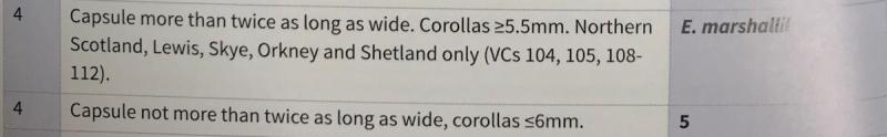 Euphrasia handbook, key c couplet 4 describes non-vegetative characteristics, more details in text.