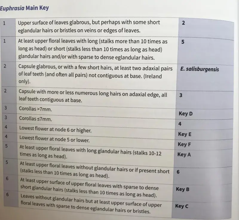 Euphrasia handbook, main key page, more details in text
