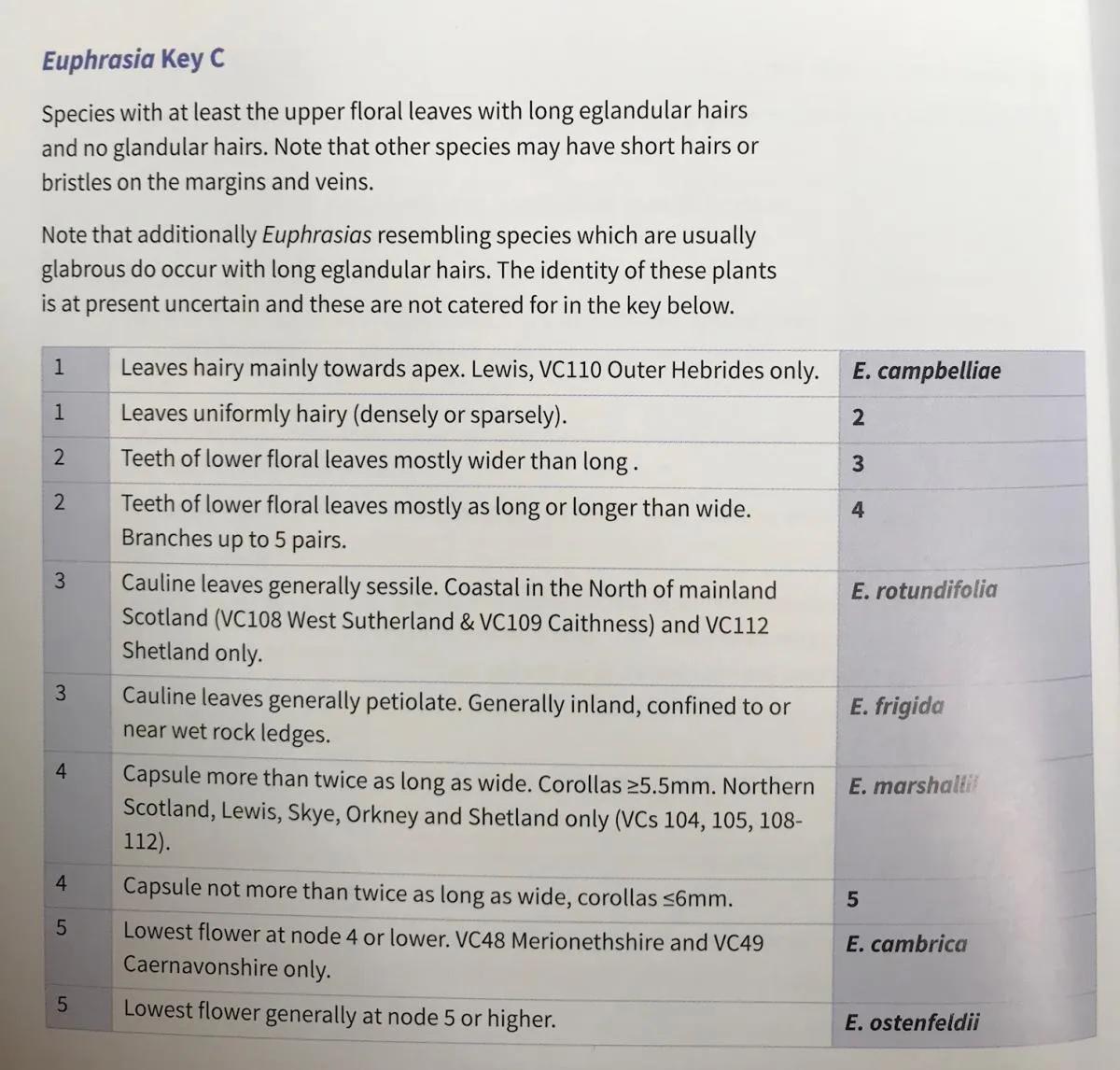 Euphrasia handbook Key C discriminates between 6 species with long eglandular hairs and no glandular hairs, more detail in text.