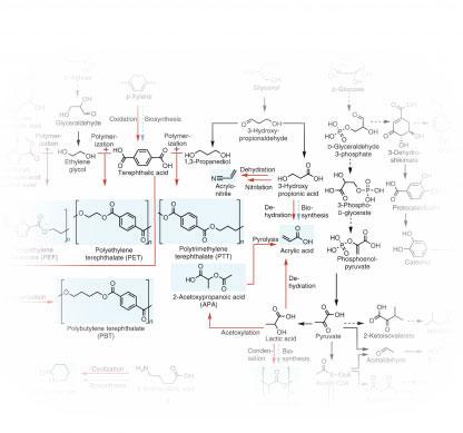 De novo bio-synthetic pathways