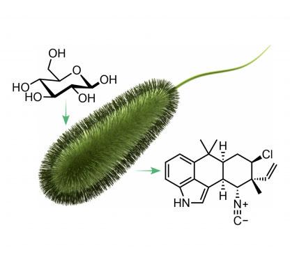 Sustainable chemicals