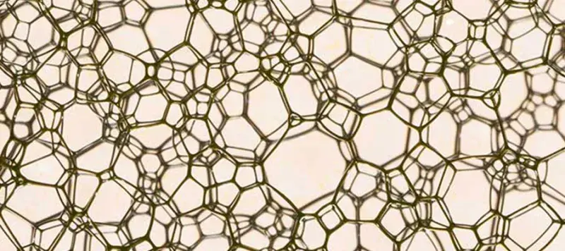WallaceLab-Synthetic-Biology-Chemistry-Slide