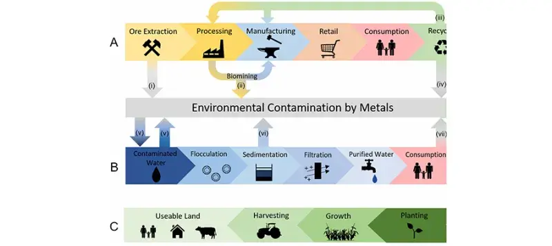 Biochemical-society-transactions