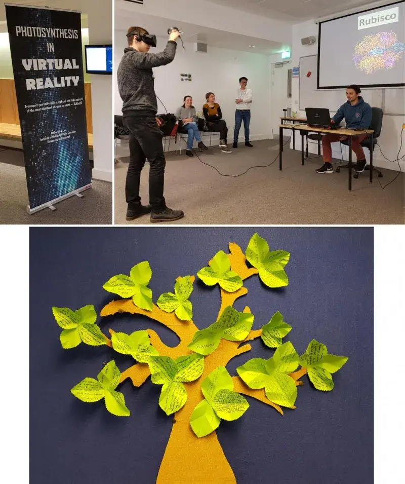 McCormick-Photosynthesis-Photo
