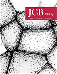 Goryachev-Journal-of-cell-biology-cortical-Cover