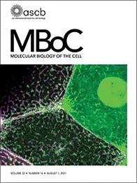 Goryachev-Molecular-biology-of-the-cell-Cover