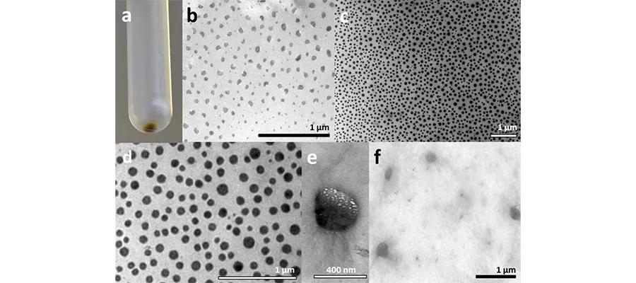 Paper-Now-Published