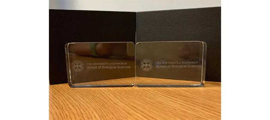 Staff-Award-Success