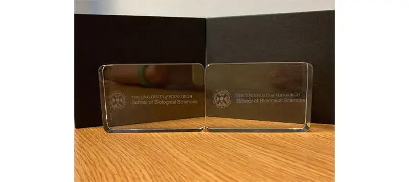 Staff-Award-Success