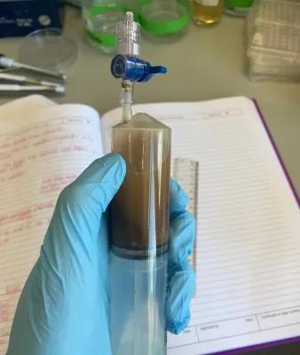 Photo of a hand in a blue glove holding a syringe with some brown sediment, in the background a lab bench with notebook