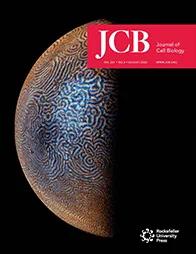 Goryachev-JBC-Cover