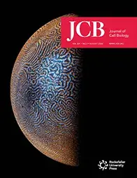 Goryachev-JBC-Cover