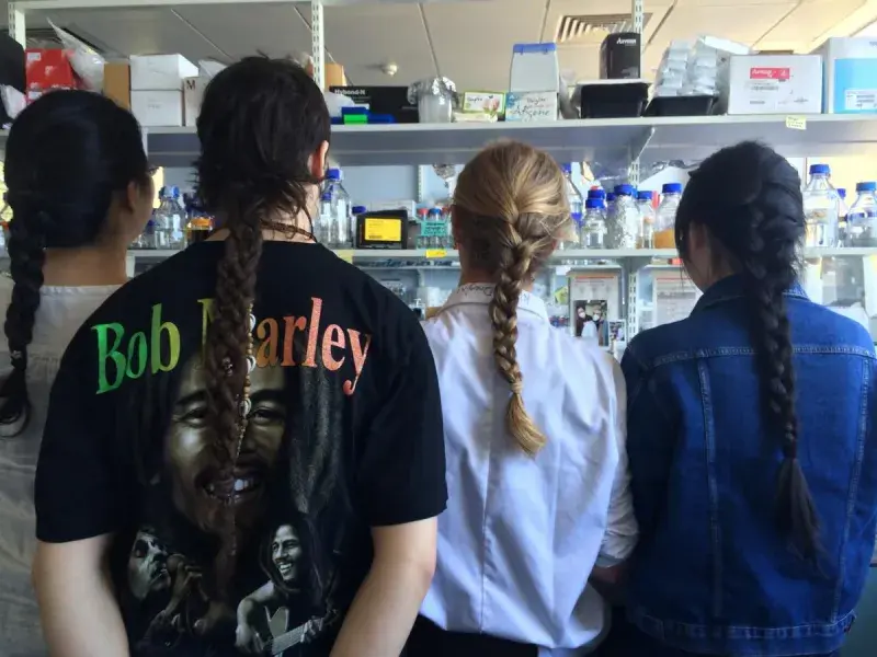 Molnar-Backs