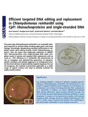 Molnar-DNA-Editing