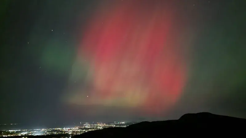 Molnar-Edinburgh